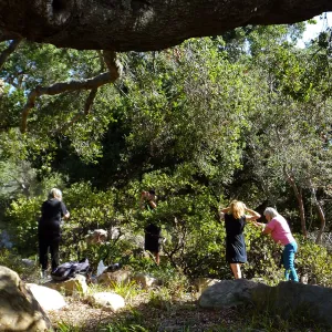 Dormant Dreams Yarn Blast, Off-Season Manzanita Blossom Installation