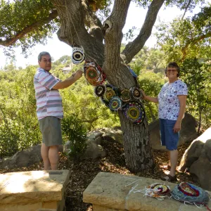 Dormant Dreams Yarn Blast Installation, Coast Oak Circles