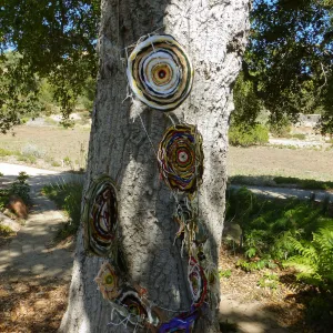 Dormant Dreams Yarn Blast Installation, Coast Oak Circles