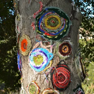 Dormant Dreams Yarn Blast, Coast Oak Circles