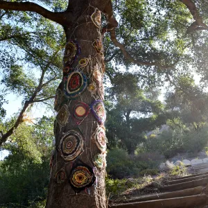Dormant Dreams Yarn Blast, Coast Oak Circles