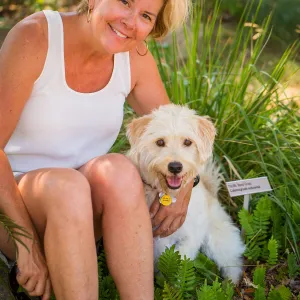 Trails n Tails 2015, dog portrait