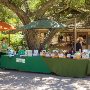 Trails n Tails 2015, welcome table