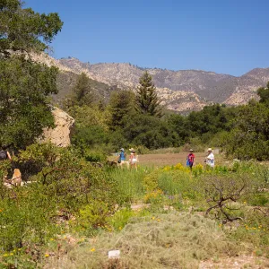 Trails n Tails 2015