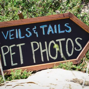 Trails n Tails 2015