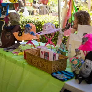 Trails n Tails 2015, vendor display