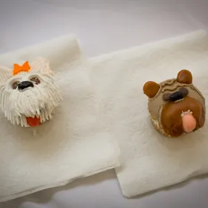 Trails n Tails 2015, Pupcakes