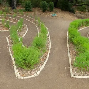 Centennial Maze