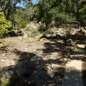 Wooded Dell site preparation