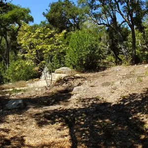 Wooded Dell site preparation panorama