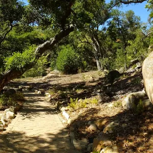 Wooded Dell site preparation, panoramic view along Campbell Trail