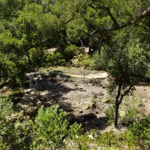 Wooded Dell site preparation, view from picnic area