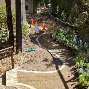 Home Demonstration Garden Renovation, view 33, looking south along path west of Herbarium