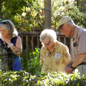 Fall Plant Sale 2015 Members Preview Party