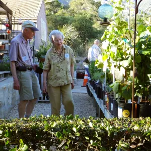 Fall Plant Sale 2015 Members Preview Party