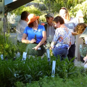 Fall Plant Sale 2015 Members Preview Party