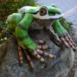 Dormant Dreams Yarn Blast, Fred - the Pacific Chorus Frog
