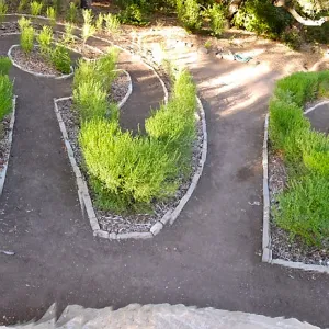 Centennial Maze