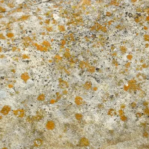 Sandstone texture