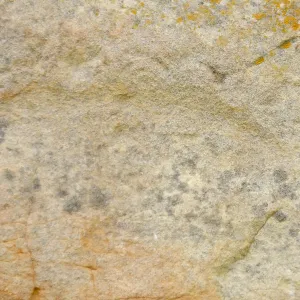 Sandstone texture