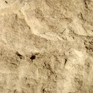 Sandstone texture