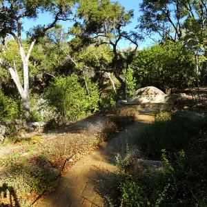 Wooded Dell, newly planted trees, panorama with Campbell Bridge and Campbell Bench