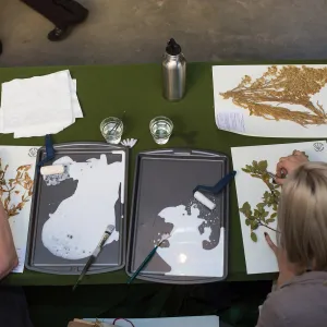 Pritzlaff Conservation Center, Wishes in the Walls event, Herbarium specimen mounting