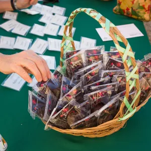 Pritzlaff Conservation Center, Wishes in the Walls event