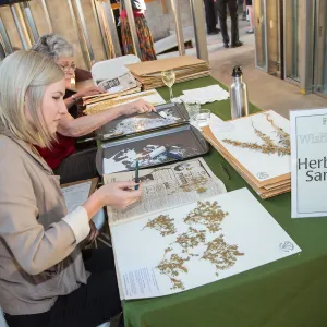 Pritzlaff Conservation Center, Wishes in the Walls event