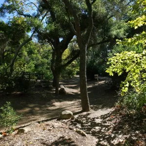Trail Junction near Campbell Bridge in Canyon Section