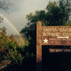 Rainbow in the Garden