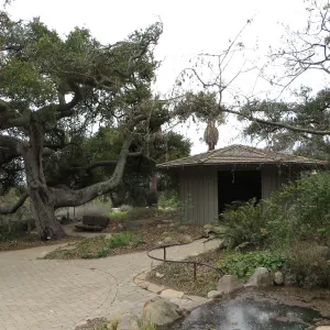 Lockwood de Forest Kiosk