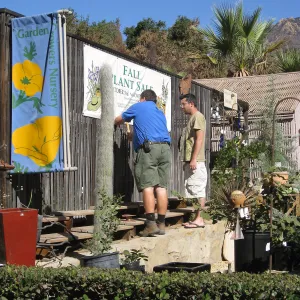2009 Fall Plant Sale set-up, Andrew Wyatt