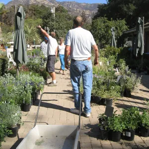 2009 Fall Plant Sale set-up
