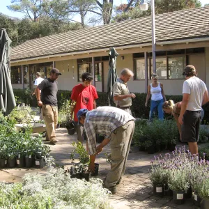 2009 Fall Plant Sale set-up