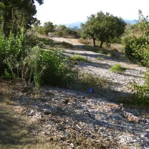 SW Trail