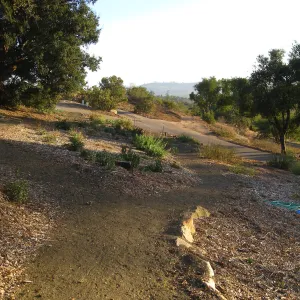 Southwest Trail
