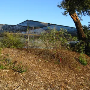 Southwest Trail, looking up to the Garden Growers Canyard