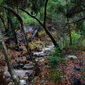 Mission Creek just above lower crossing after rainfall