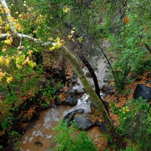 View from Canyon rim, adjacent to Cottage after rainfall