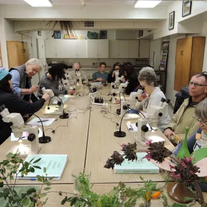 Docent Training