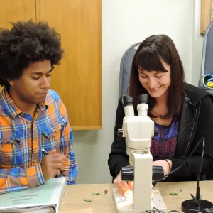 Docent Training