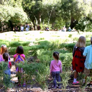 Children in the Centennial Maze