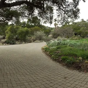 Plein Air artist Chris Potter working at SBBG