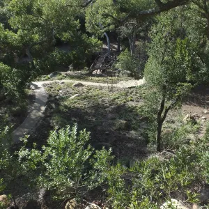 Wooded Dell