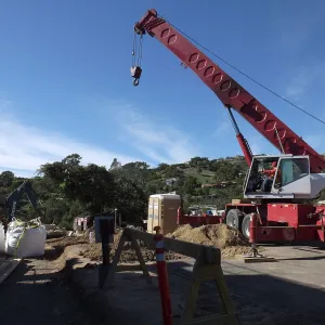 Installation of Island Oaks, flanking the entrance to the new Island Section at the Pritzlaff Conservation Center