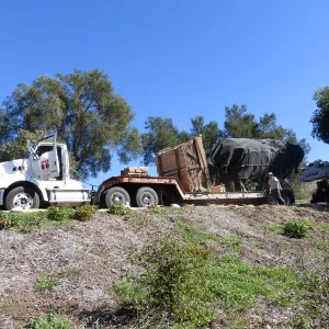 Installation of Island Oaks, flanking the entrance to the new Island Section at the Pritzlaff Conservation Center