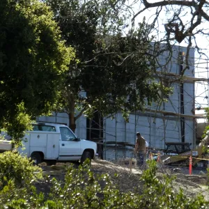 After installation of Island Oaks, flanking the entrance to the new Island Section at the Pritzlaff Conservation Center