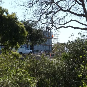After installation of Island Oaks, flanking the entrance to the new Island Section at the Pritzlaff Conservation Center