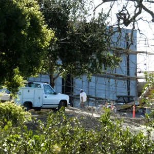 After installation of Island Oaks, flanking the entrance to the new Island Section at the Pritzlaff Conservation Center